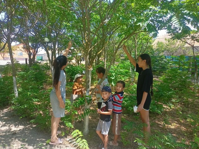 foto 2025 07 25 09 39 004