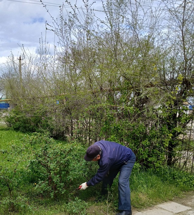 foto 2025 04 14 09 08 5
